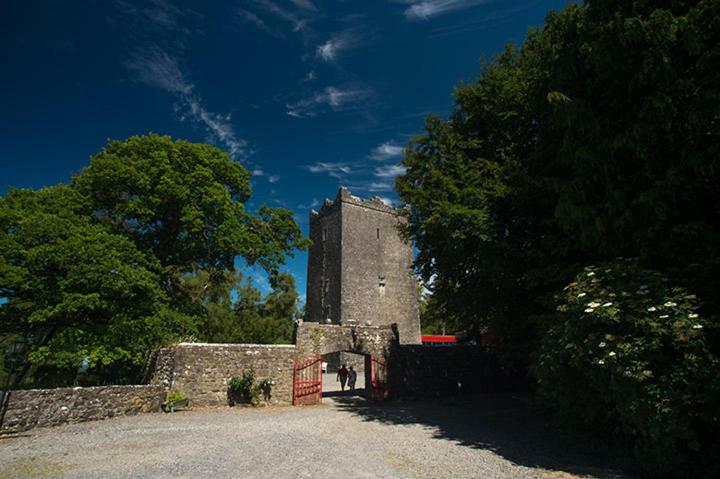 Ross Castle B&B Oldcastle Exterior photo