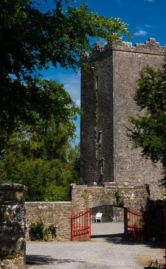 Ross Castle B&B Oldcastle Exterior photo